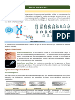 Clase 6 - Tipos de Mutaciones