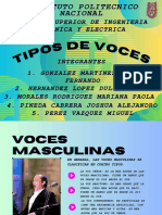 Tipos de Voz