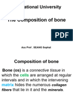 1 Composition of Bone