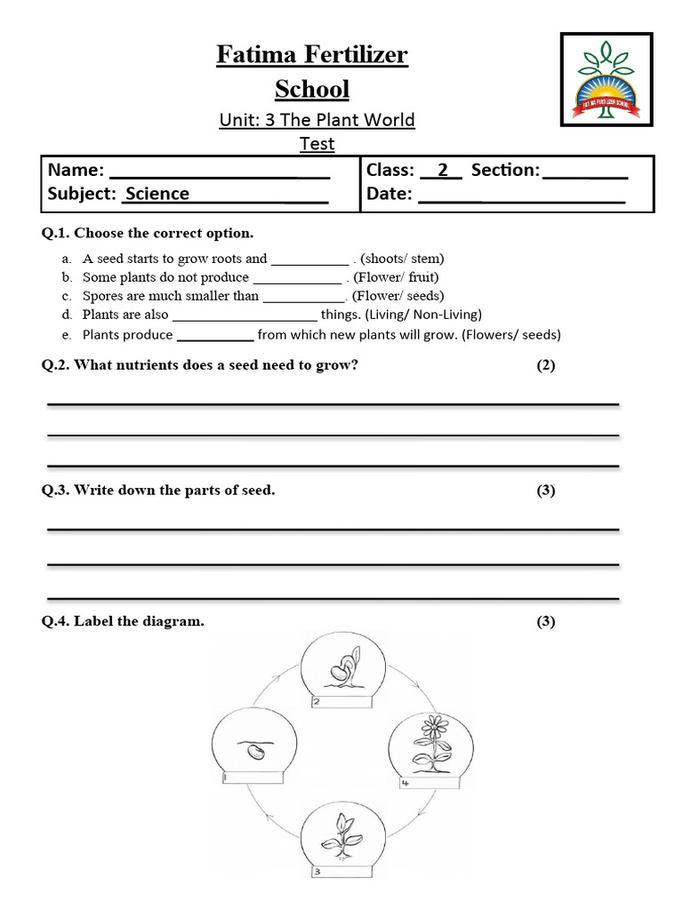 the-plant-world-test-worksheet-1-pdf