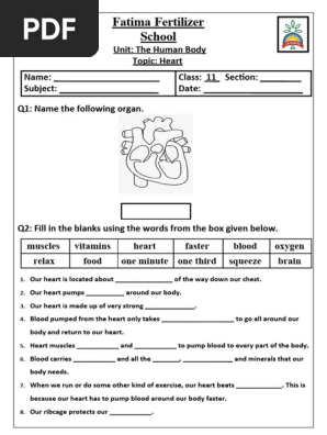 Heart Worksheet 1