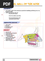 Danger Triangle of the Face Explained | PDF
