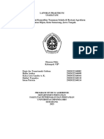 Kelompok 7 - Selada - Laporan Praktikum Usahatani - Agri B - ACC