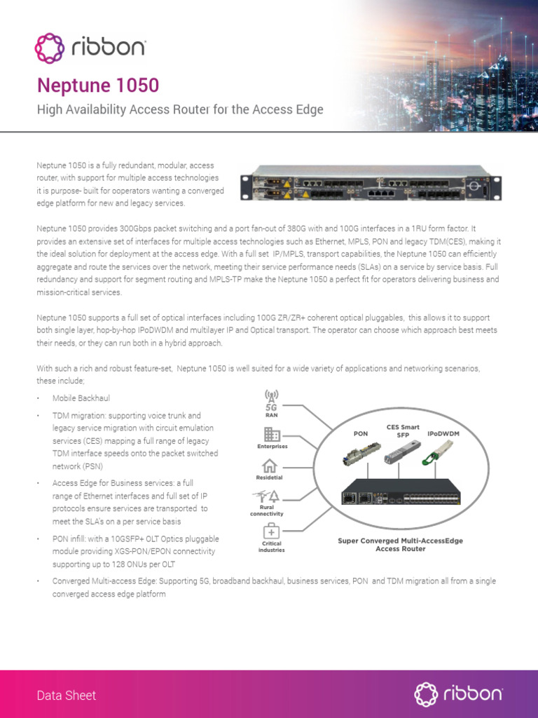 Neptune 1050: High Availability Router | PDF | Networking ...