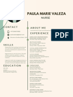 Paula Valeza, RN CV