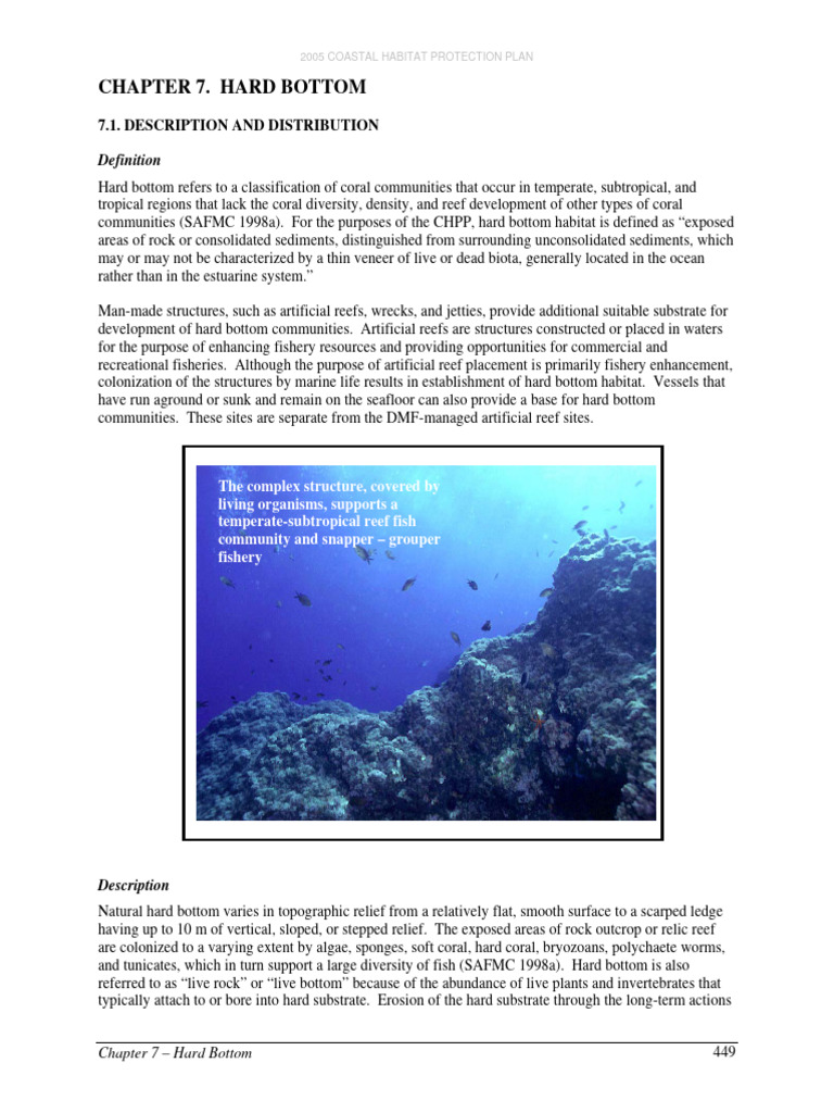 Hard Bottom Habitat in Coastal Regions | PDF | Coral Reef | Coast