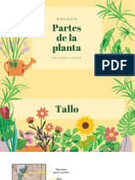 Partes de La Planta