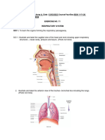 EXERCISE NO. 11 Respiratory