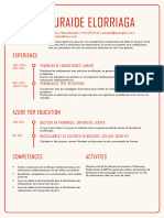 CV Model Sobre 2