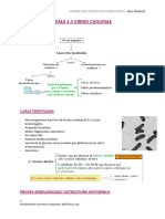 Tema 3.5 Vibrio Cholerae