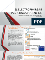 Dna Sequencing