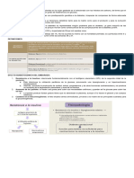 13.diabetes y Embarazo