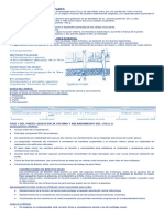 2.fisiología Del Trabajo de Parto