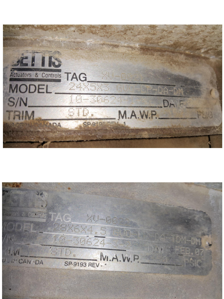 Bettis Actuators PDF