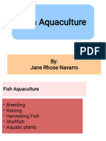 Fish Aquaculture Navarro