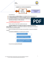 Segregación Magmatica - 2023