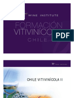 Chile Vitivinícola, Clase 2