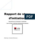 Rapport de Stage D'initiation