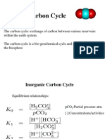 Carbon Cycle