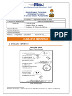 Agosto - 4 - Ano - EF - Iniciação Científica EF