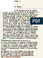 Resumen de Glucolisis, C. de Krebs, Respiracion Celular, Sint. de Lipidos, Degradacion de Proteinas, C. de Nitrogeno