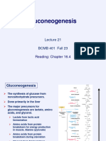 Lecture 21 Gluconeogenesis