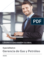 Esp - Gerencia Gas Petróleo