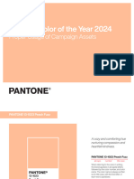 Pantone - Coy 2024 Logo Guidelines