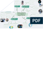 Sistema Sociotécnico de Investigación en Biología Molecular.