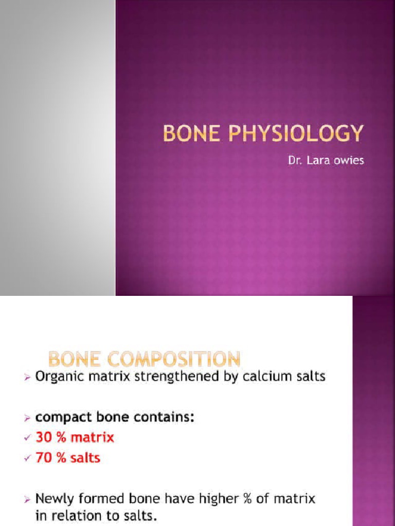 BONE ANATOMY AND PHYSIOLOGY PDF NOTES visual data 4