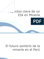 Aspectos Clave EIA Mineria 1
