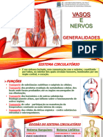 06ap. LocGEN - Vasos e Nervos - Generalidades - Novo Impressão