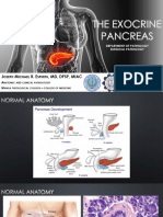 2.2 - Pancreas - JMRE