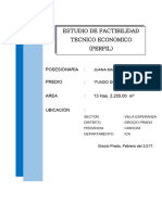 Proyecto Factibilidad Juana Maria Leon Cruz (Hermana)