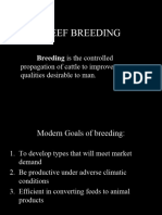 15.1 Beef Breeding