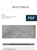 Complex Tissues