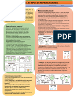 Ficha 03 Reproduccion Sexual y Asexual Unidad VIII