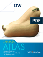 Calabazas