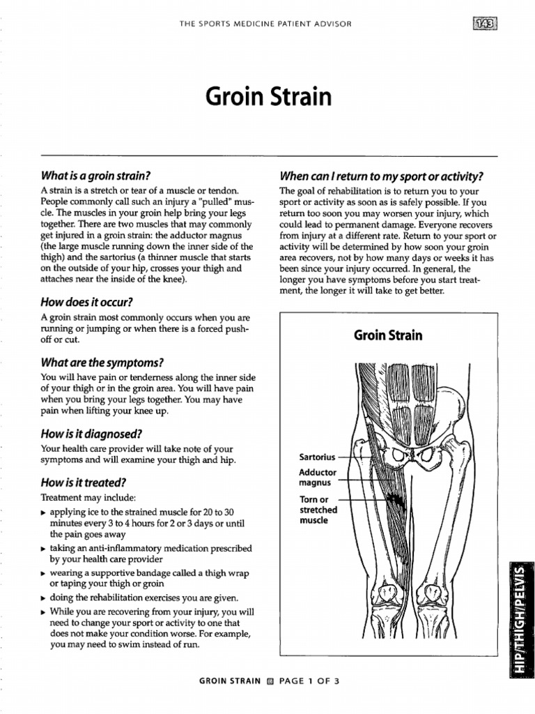 Groin Strain info rehab exercises PDF Anatomical Terms Of Motion Knee