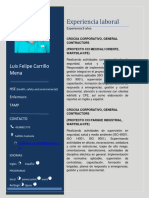 0 - C. V. Luis Felipe Carrillo ACT PDF