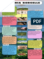 Infografía Línea Del Tiempo Timeline Historia Moderno Creativo Multicolor