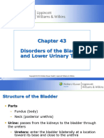Disorder of Bladder