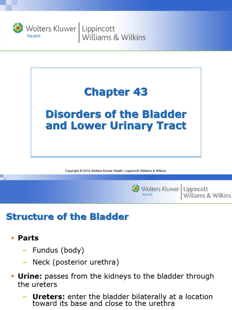 Disorder of Bladder | PDF | Urinary Incontinence | Urination