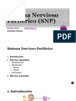 15 - Sistema Nervioso PerifÃ©rico (SNP) - 3