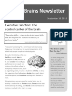 Newsletter, Executive Functioning