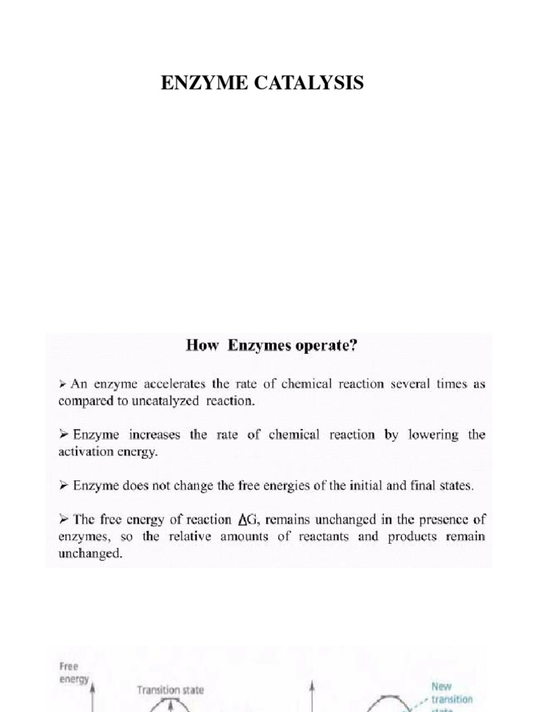 enzyme catalysis PDF