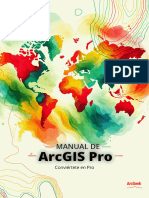 Manual de ArcGIS Pro