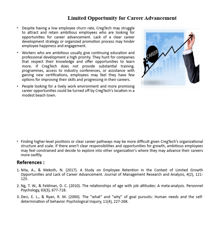 Limited Opportunity For Career Advancement | PDF