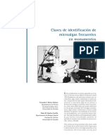 Claves de Identificación de Microalgas Frecuentes en Monumentos