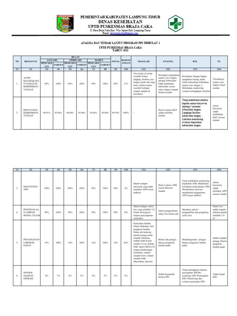 Analisa Program PPI Triwulan 2023 | PDF